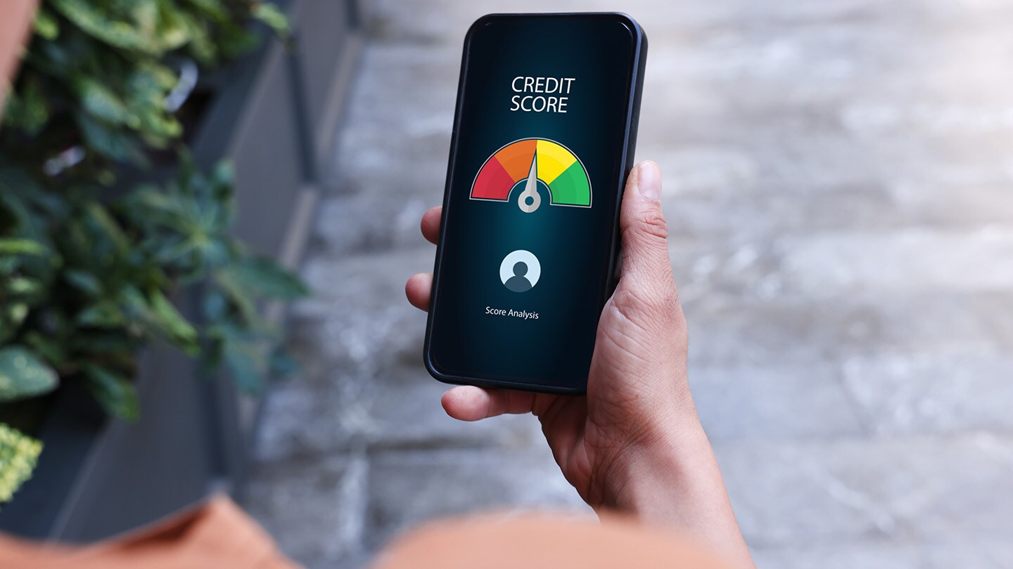 Credit Score Analytics and Overview